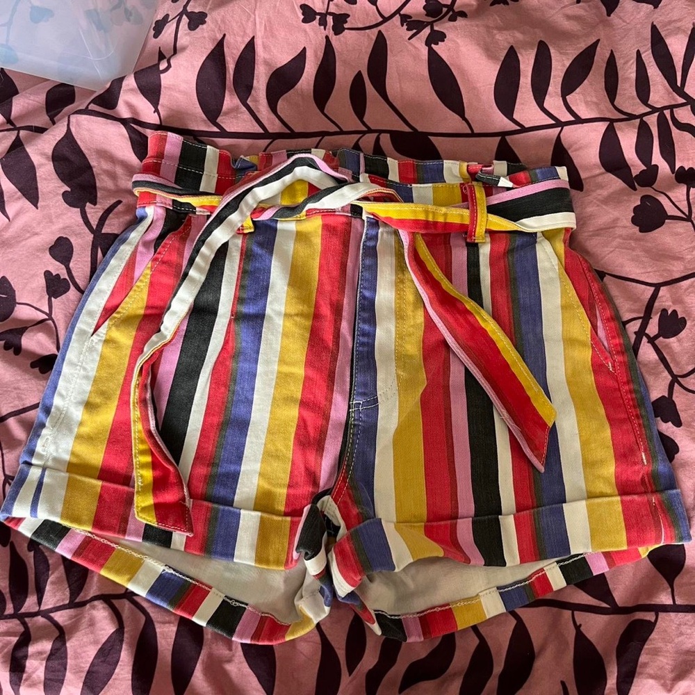 Express Colorful Stripe Shorts